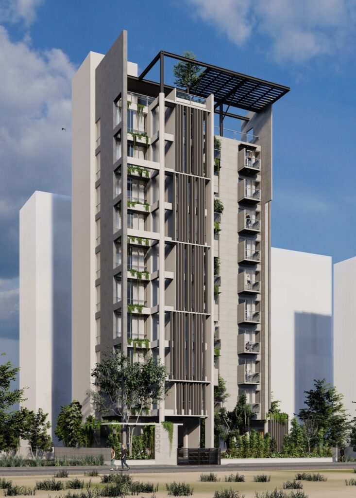 Assort South Contenta